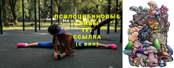 дмт Алзамай