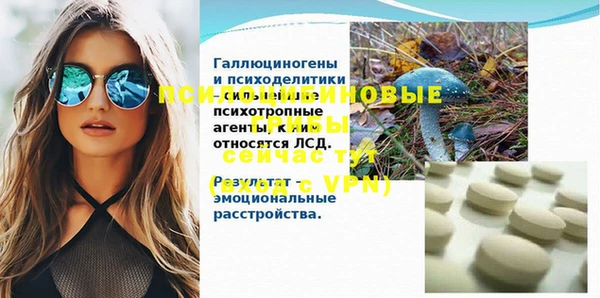 дмт Алзамай