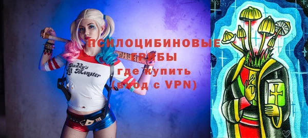 дмт Алзамай