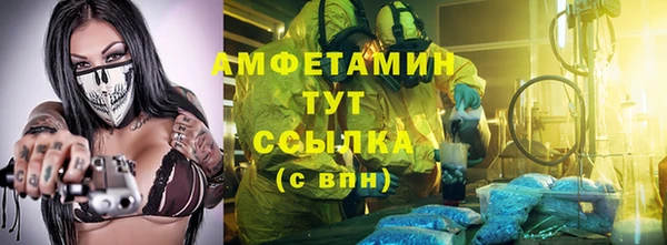 дмт Алзамай